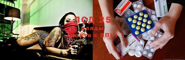 прущая мука Вязьма