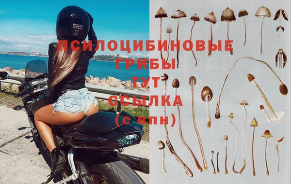 прущая мука Вязьма