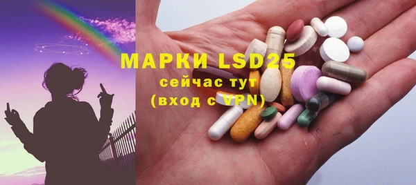 PSILOCYBIN Вязники