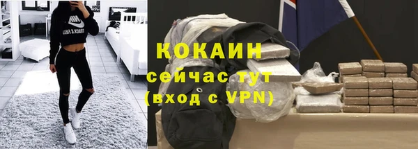 стаф Вяземский