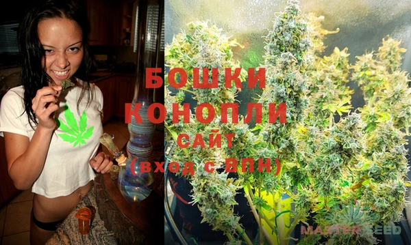 PSILOCYBIN Вязники