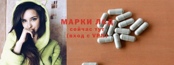 стаф Вяземский