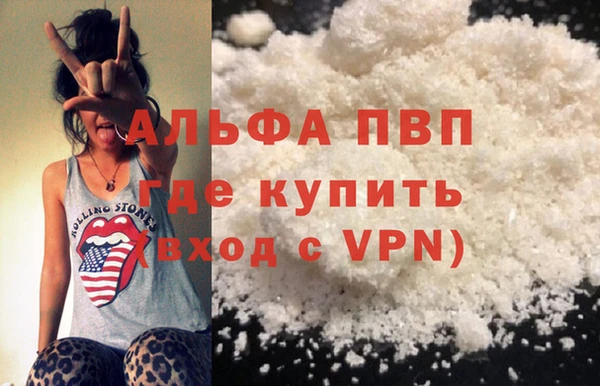 стаф Вяземский