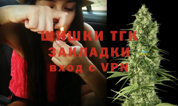 PSILOCYBIN Вязники
