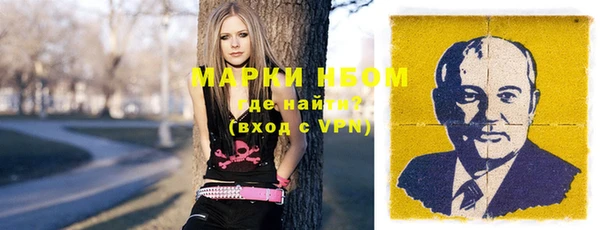 стаф Вяземский