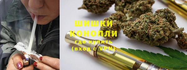 PSILOCYBIN Вязники